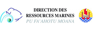 logo-DRM
